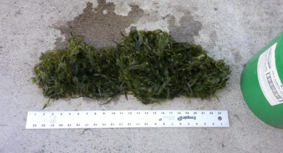 uploadfromtaptalk1436346913109.jpg uploadfromtaptalk1436346913109.jpg