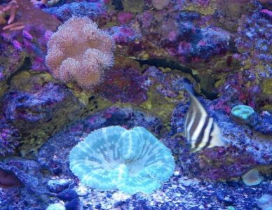 20150701_161334 (600x465).jpg