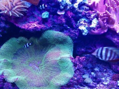 20150705_143046 (600x450).jpg