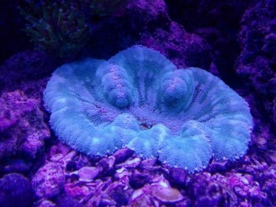 20150708_105253 (600x450).jpg