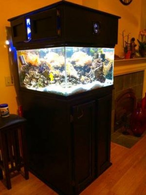 fish 3.jpg