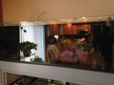 IMG_3268.jpg