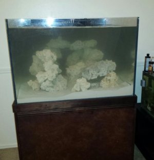 2015-07-08 19.15.45.jpg