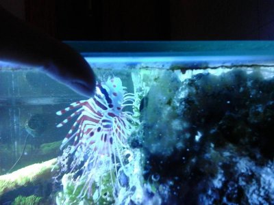 uploadfromtaptalk1438986999762.jpg uploadfromtaptalk1438986999762.jpg