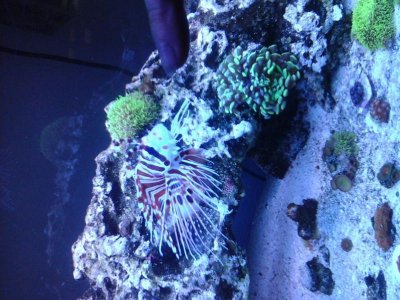 uploadfromtaptalk1438987031325.jpg uploadfromtaptalk1438987031325.jpg