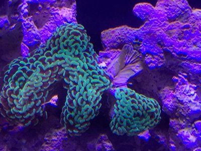 IMG_0127.jpg