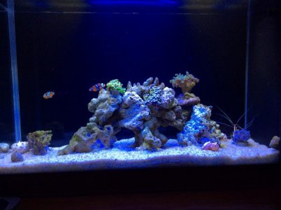 photo (00000002).jpg