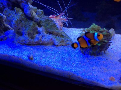 photo (00000003).jpg