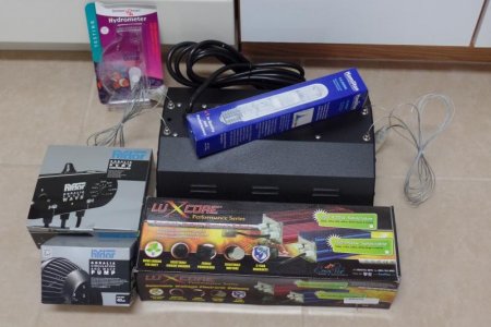 Reef Order II edit.jpg