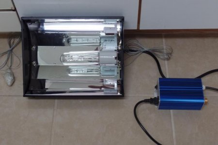 Reef Pendant I edit.jpg