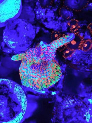 uploadfromtaptalk1436618700515.jpg uploadfromtaptalk1436618700515.jpg