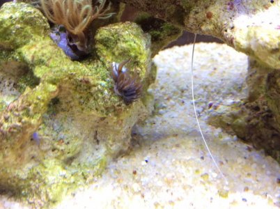 photo (00000002).jpg photo (00000002).jpg