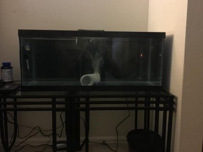 Day 36 QT Set Up.jpg
