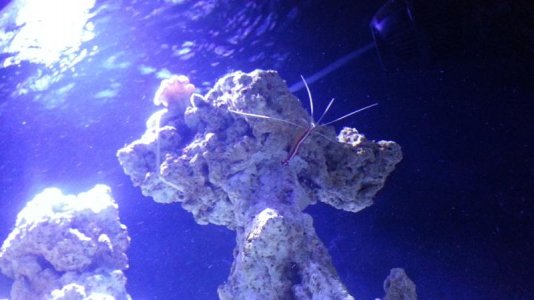 20150712_124752.jpg