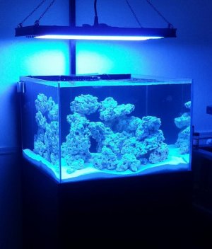 2015-08-11 16.02.17.jpg