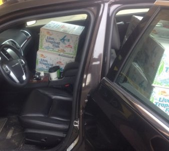 car1_photo.jpg