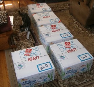boxes1.jpg