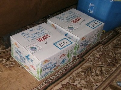 boxes2.jpg