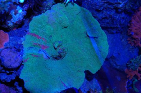 IMGP2859 resized.jpg