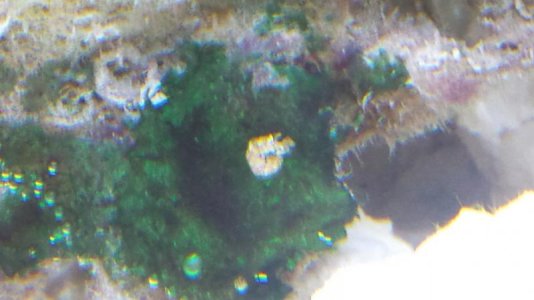 20150811_182359.jpg