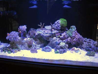 samsung pictures 013.jpg