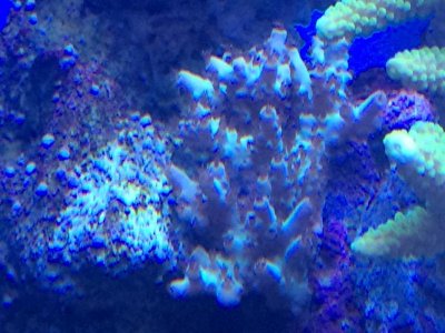 IMG_0006 (1).jpg