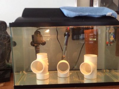 ImageUploadedByTapatalk1436900376.834215.jpg ImageUploadedByTapatalk1436900376.834215.jpg