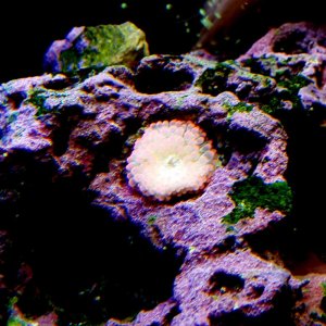 2015-07-15 17.14.34.jpg