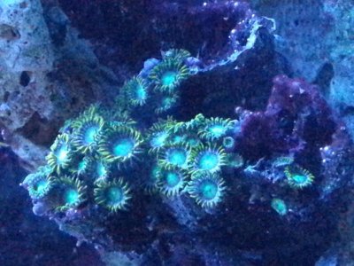 20150715_164744.jpg