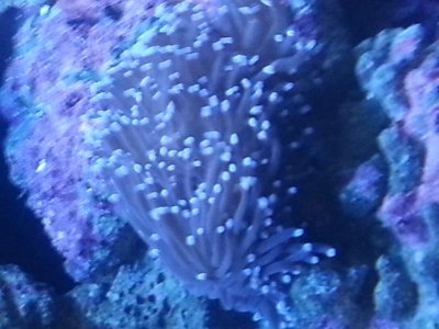 uploadfromtaptalk1437013594486.jpg uploadfromtaptalk1437013594486.jpg