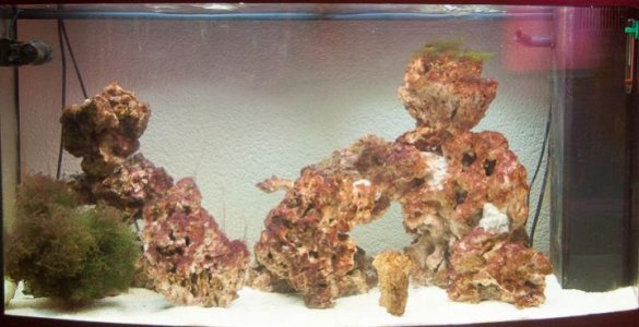 Vollansicht (1 von 1).jpg