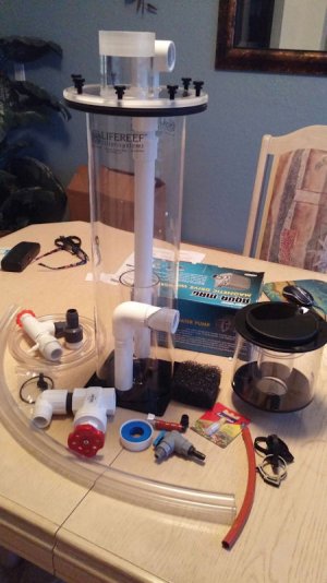 Reeflife_Skimmer1.jpg