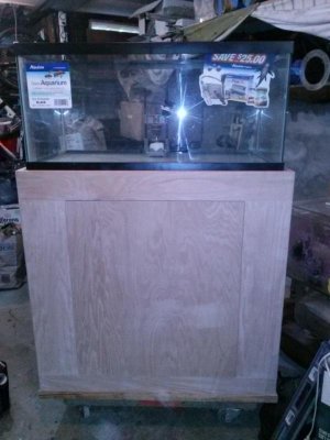 CAM00510.jpg