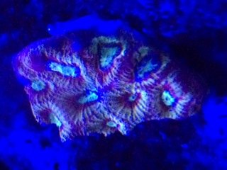 IMG_2058.JPG