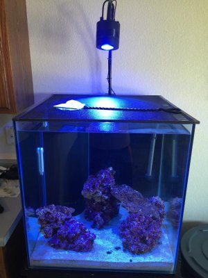 Light Adjustment.jpg