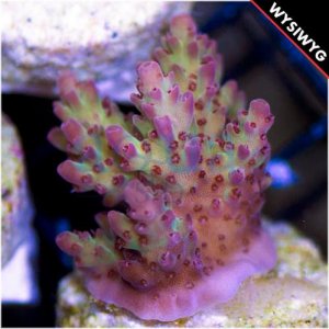 uploadfromtaptalk1437405074923.jpg uploadfromtaptalk1437405074923.jpg