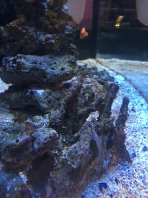 ImageUploadedByTapatalk1439846623.368247.jpg ImageUploadedByTapatalk1439846623.368247.jpg