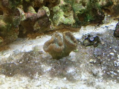 IMG_0273.jpg