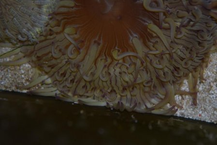 July 2015 pics 069.jpg