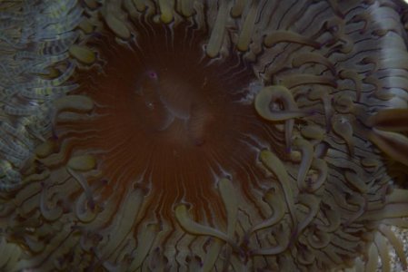 July 2015 pics 080.jpg