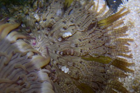 July 2015 pics 086.jpg