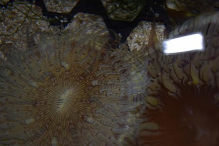 July 2015 pics 078.jpg