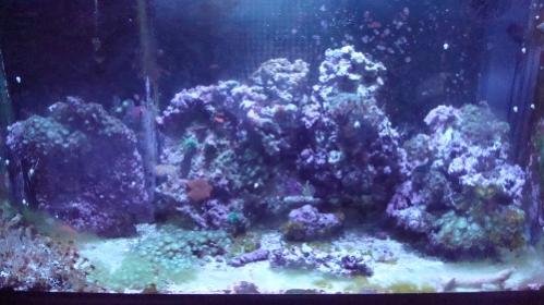 DSC00992 (500x281).jpg