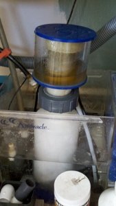 2012-04-25_10-31-19_630 (169x300) (169x300).jpg