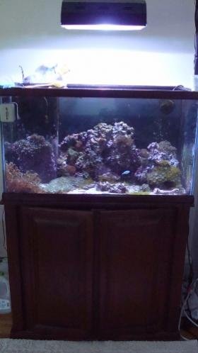 DSC01008 (281x500).jpg