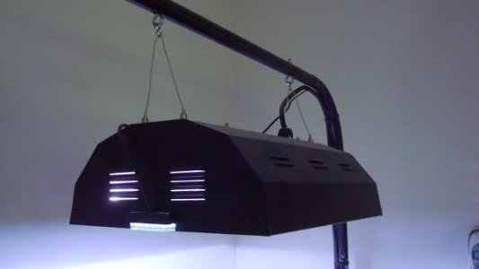 DSC01010 (800x450) (600x338).jpg