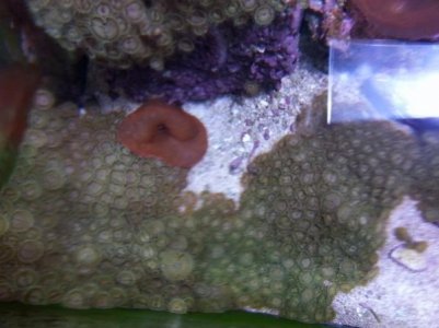 20150709_150032 (600x450).jpg