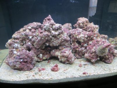 Package #1 in tank 001.jpg