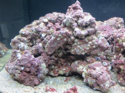 Package #1 in tank 002.jpg