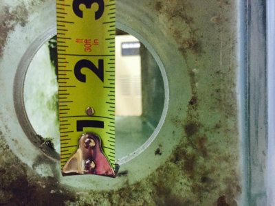 FullSizeRender (7).jpg